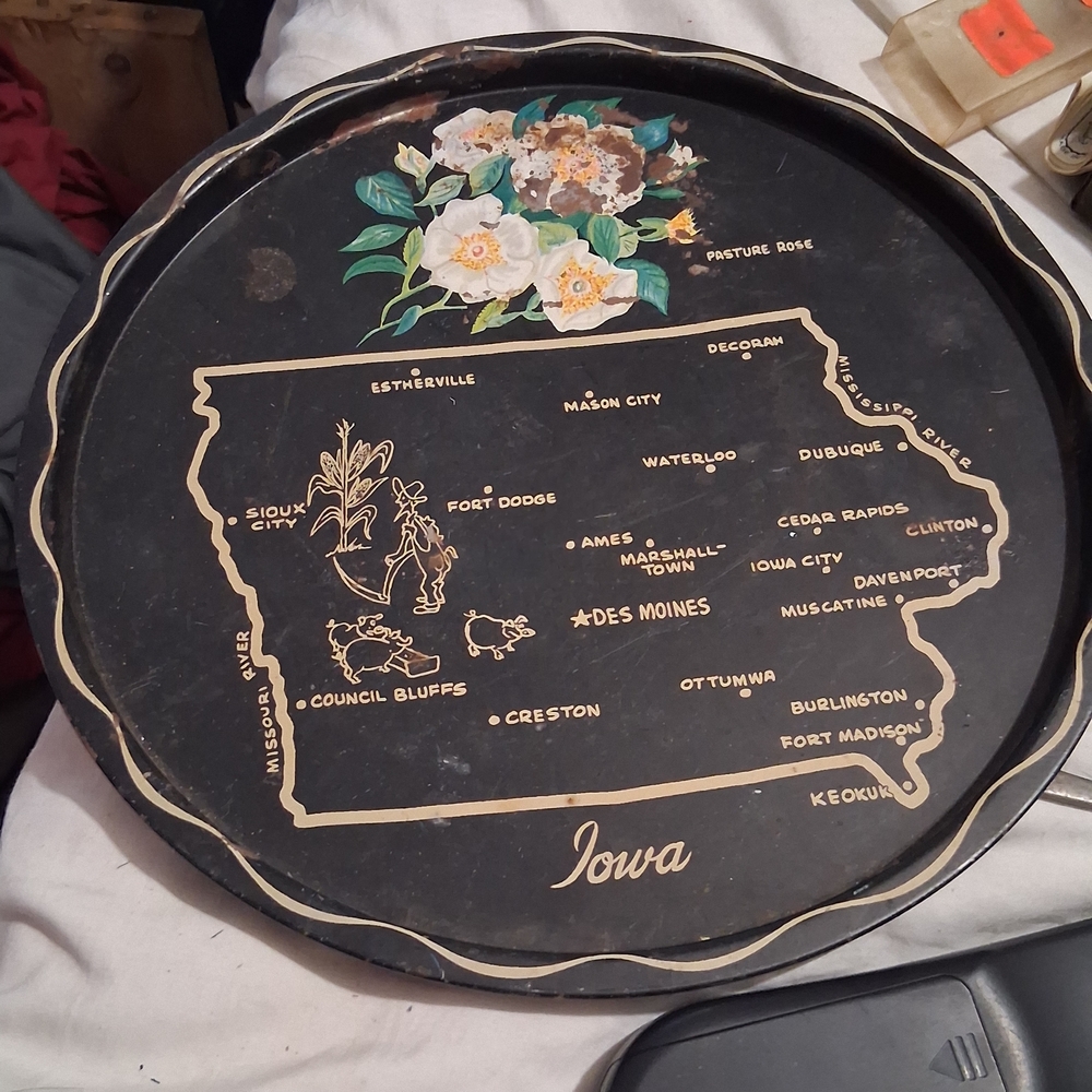 Vintage Handpainted Iowa State Souvenir Serving Platter